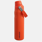 Aerolight™ Iceflow™ Fast Flow Bottle | 0.6 L בקבוק ספורט
